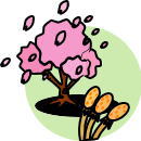 桜